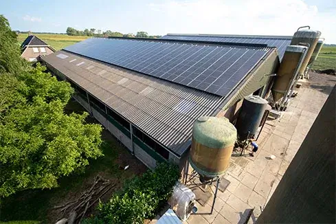 Reduce Your Carbon Footprint